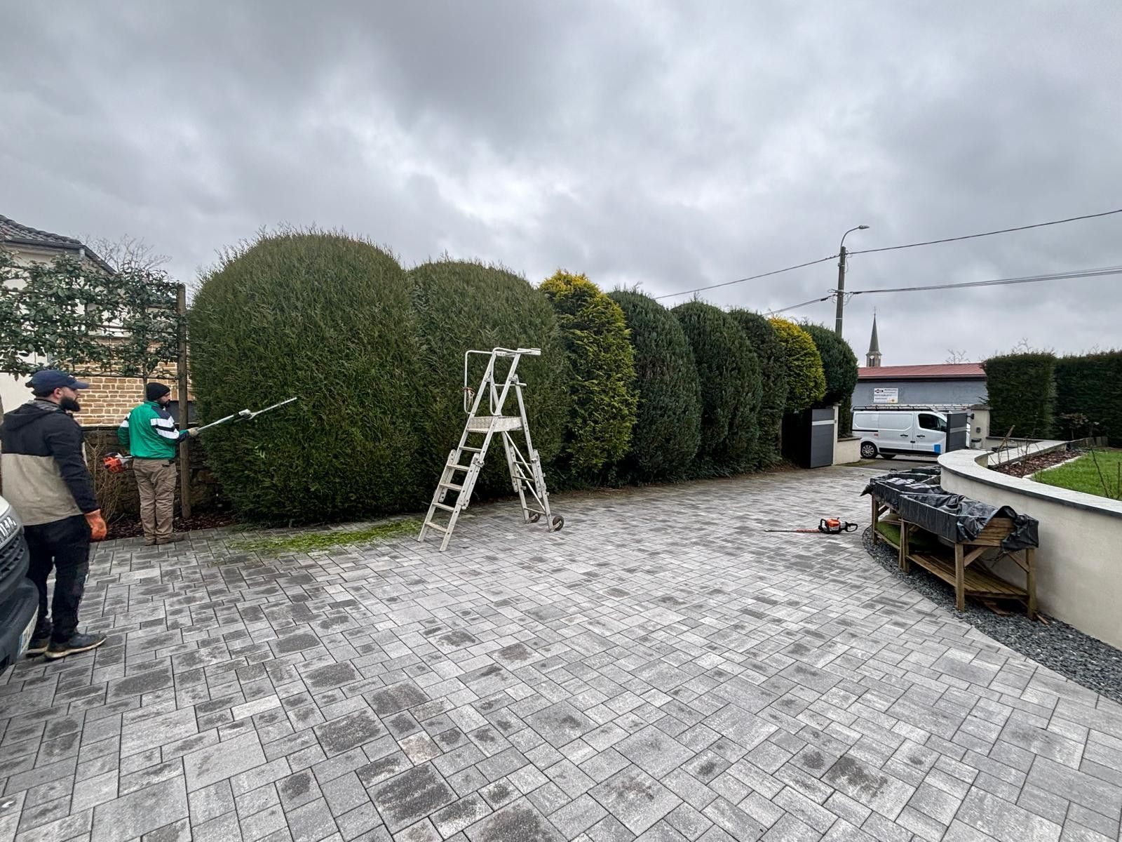 Haies taillées en boules le long d'une cour pavée
