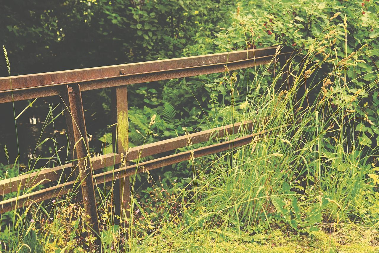 Barrière en bois envahie par les herbes hautes