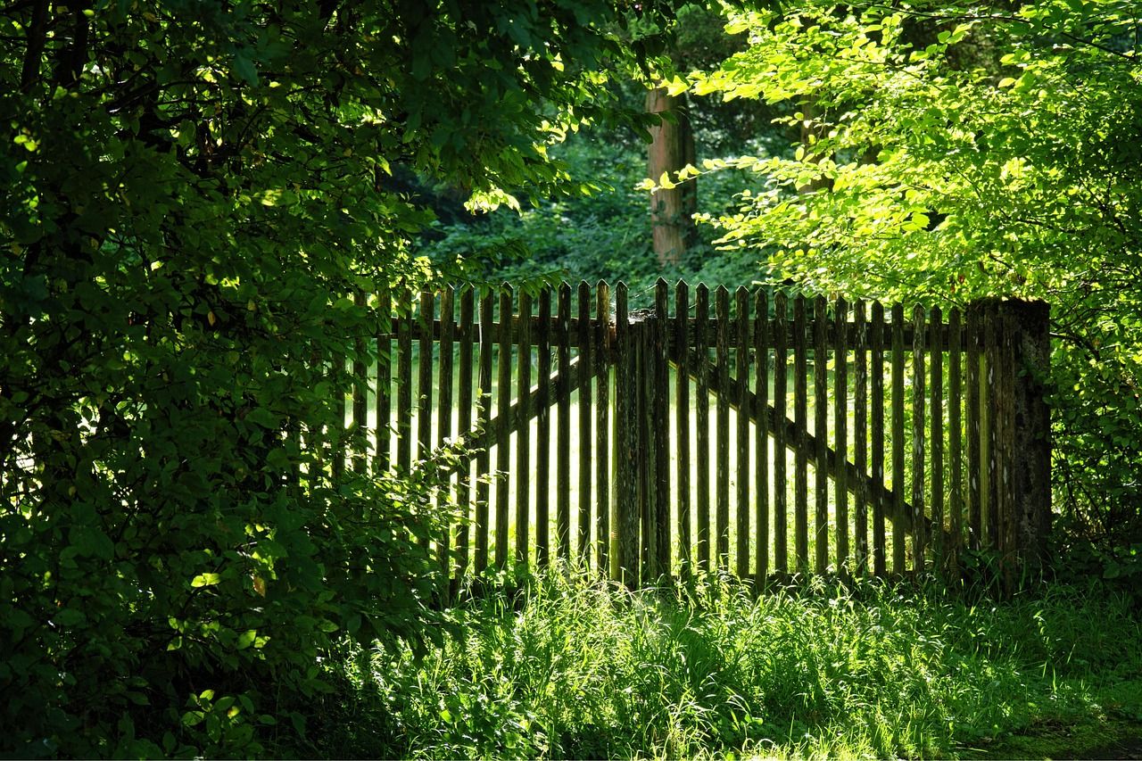 Portail en bois au milieu d'une végétation dense